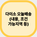 다이소 오늘배송(내용, 조건, 가능지역 등)