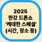 2025 한강 드론쇼 '케데헌 스페셜'(시간, 장소 등)